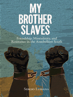 cover image of My Brother Slaves
